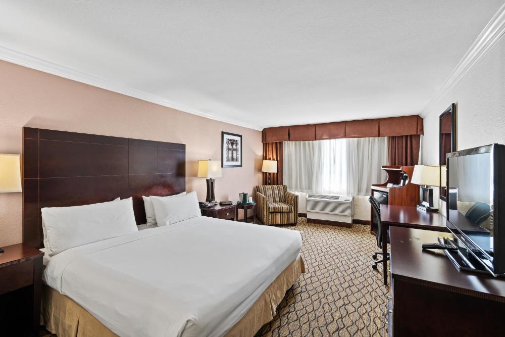 King Room interior